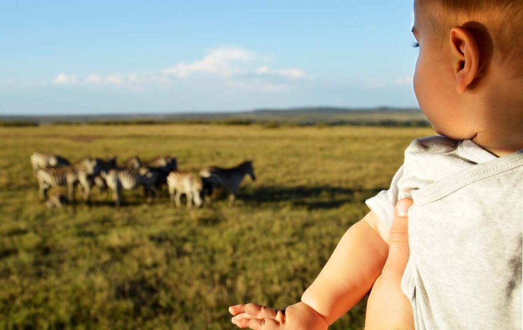 Bebe qui regarde des zebres en Tanzanie