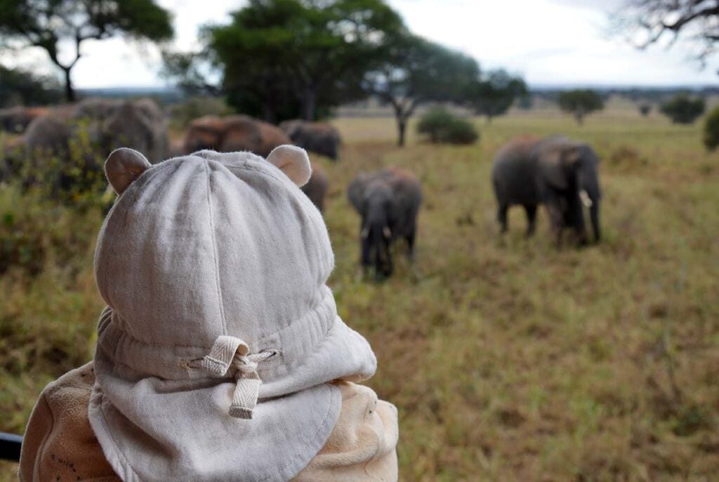 Bebe qui regarde des éléphants en Tanzanie