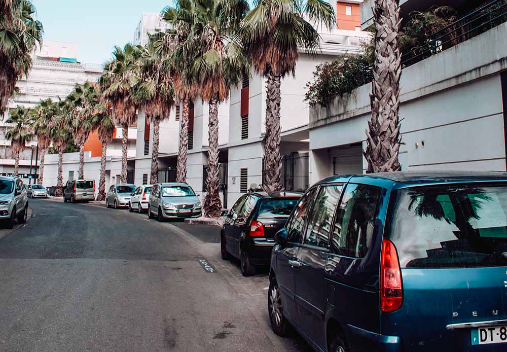 Rue paisible bordée de palmiers dans un quartier résidentiel, évoquant un accouchement rapide et surprenant qui pourrait survenir en chemin vers l'hôpital, soulignant les scénarios de naissance express et insolites en milieu urbain.