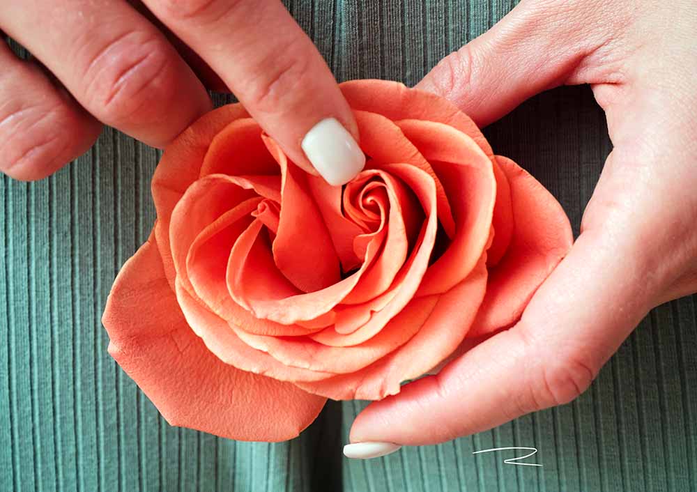 Image symbolique d'une main féminine avec des ongles soignés tenant délicatement une rose épanouie, évoquant la renaissance de la sexualité et l'intimité après l'accouchement. Les pétales de la rose représentent la douceur et la patience nécessaires pour retrouver une vie sexuelle épanouie post-partum, tandis que le contraste avec le fond texturé met en avant l'importance de la tendresse et de l'attention dans la redécouverte du plaisir et de la connexion dans le couple.