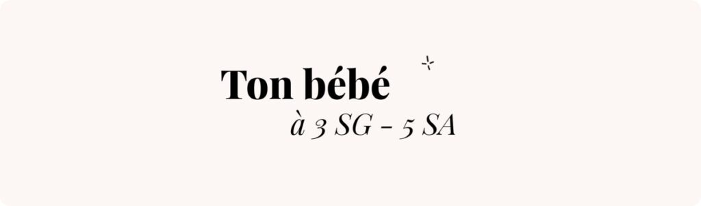 3 semaines de grossesse en mois (où en est bébé ?) Échographie voir bébé