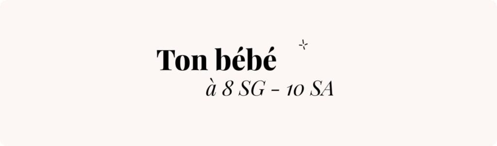 8 semaines de grossesse en mois (où en est bébé ?) – Échographie voir bébé