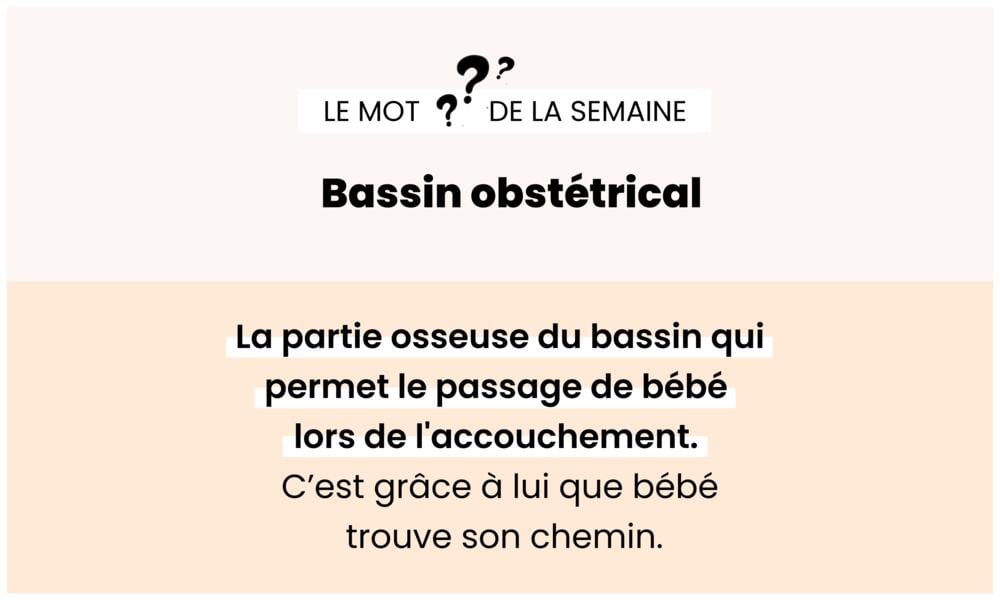 Bassin obstétrical – Structure osseuse influençant l’accouchement.