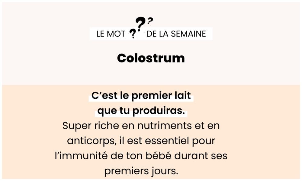 Colostrum – Premier lait riche en anticorps.