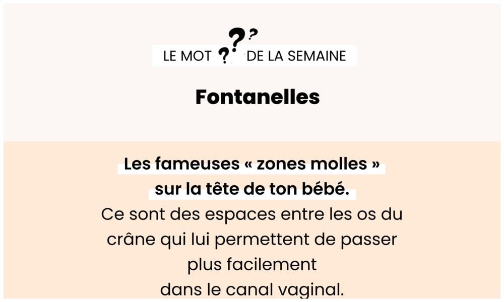 Fontanelle – Zone souple sur la tête du nourrisson.
