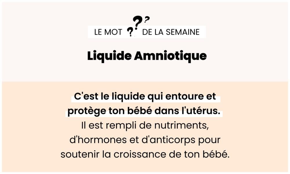 Liquide amniotique – Protection et développement du bébé in utero.