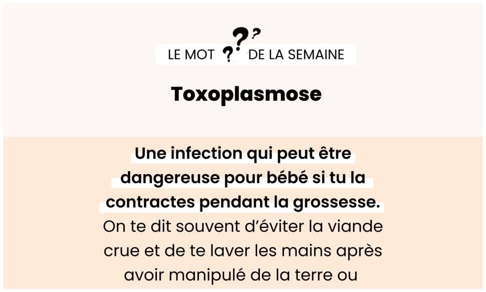 Toxoplasmose – Infection alimentaire à risque pour le fœtus.