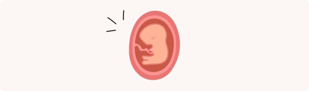 10 semaines de grossesse (12 SA) – Développement de bébé, taille, fœtus, embryon
