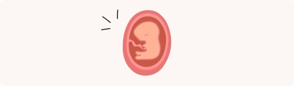12 semaines de grossesse (14 SA) – Développement de bébé, taille, fœtus, embryon