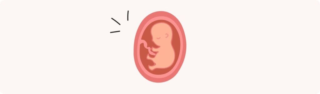 18 semaines de grossesse (20 SA) – Développement de bébé, taille, fœtus, embryon