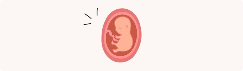 19 semaines de grossesse (21 SA) – Développement de bébé, taille, fœtus, embryon