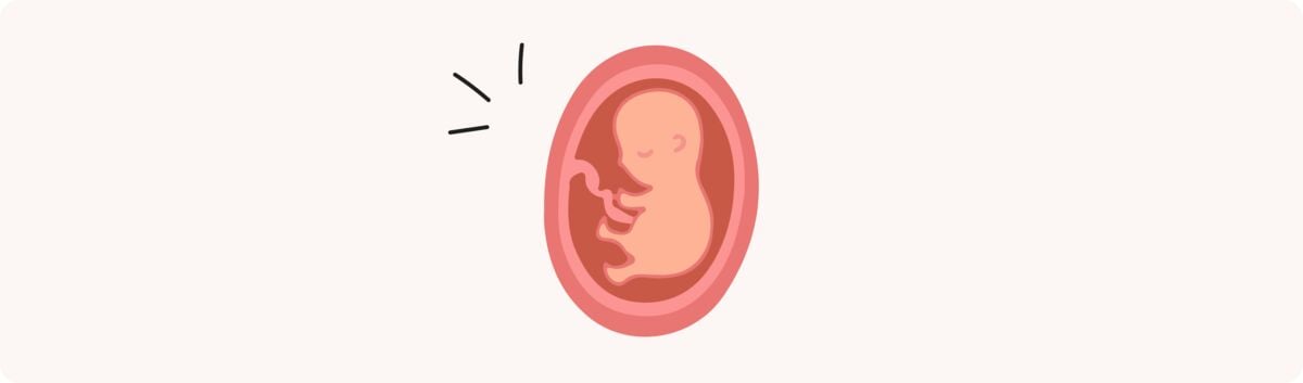 20 semaines de grossesse (22 SA) – Développement de bébé, taille, fœtus, embryon
