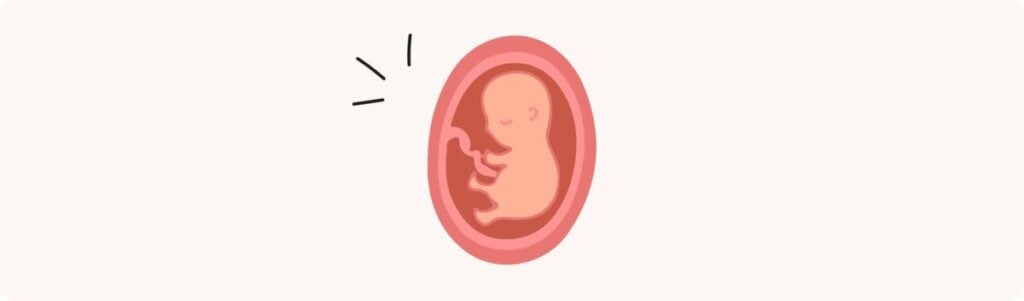 21 semaines de grossesse (23 SA) – Développement de bébé, taille, fœtus, embryon