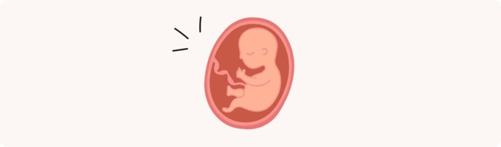 25 semaines de grossesse (27 SA) – Développement de bébé, taille, fœtus, embryon
