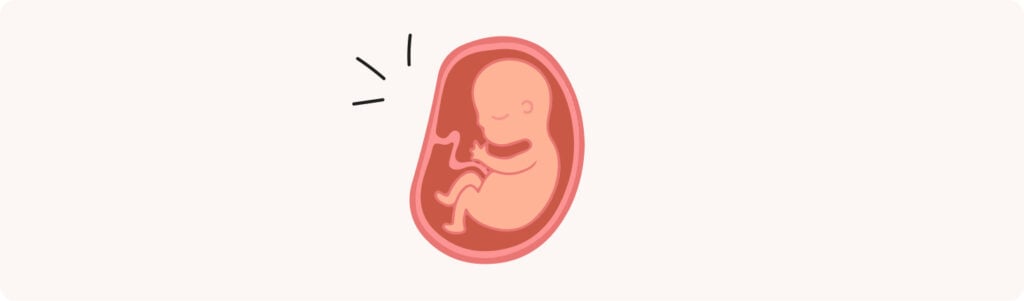 27 semaines de grossesse (29 SA) – Développement de bébé, taille, fœtus, embryon