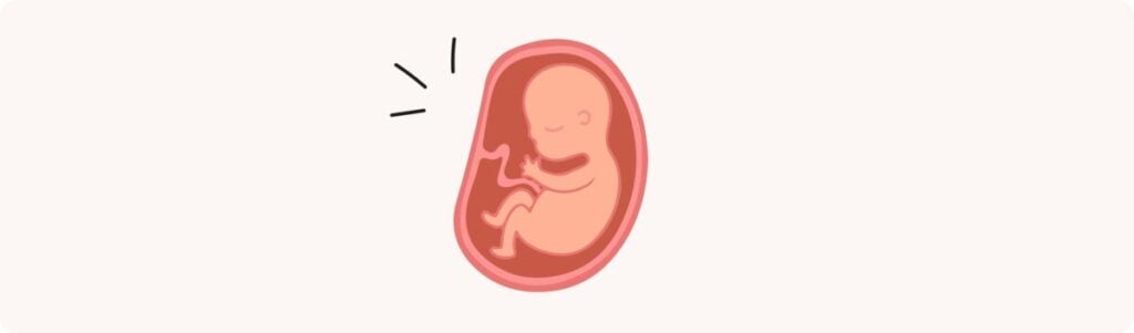 28 semaines de grossesse (30 SA) – Développement de bébé, taille, fœtus, embryon
