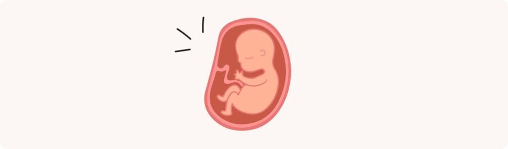 29 semaines de grossesse (31 SA) – Développement de bébé, taille, fœtus, embryon