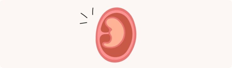 Enceinte, la semaine 3 de grossesse : 5 SA