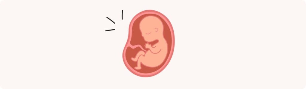 32 semaines de grossesse (34 SA) – Développement de bébé, taille, fœtus, embryon