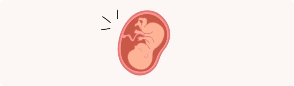 37 semaines de grossesse (39 SA) – Développement de bébé, taille, fœtus, embryon
