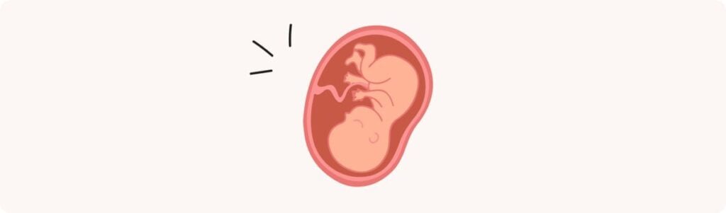 38 semaines de grossesse (40 SA) – Développement de bébé, taille, fœtus, embryon