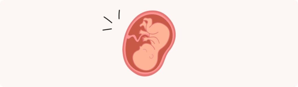 40 semaines de grossesse (42 SA) – Développement de bébé, taille, fœtus, embryon