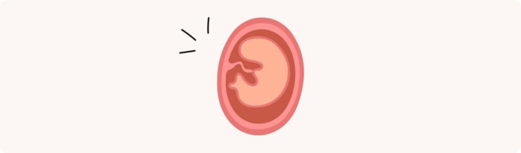 5 semaines de grossesse (7 SA) – Développement de bébé, taille, fœtus, embryon