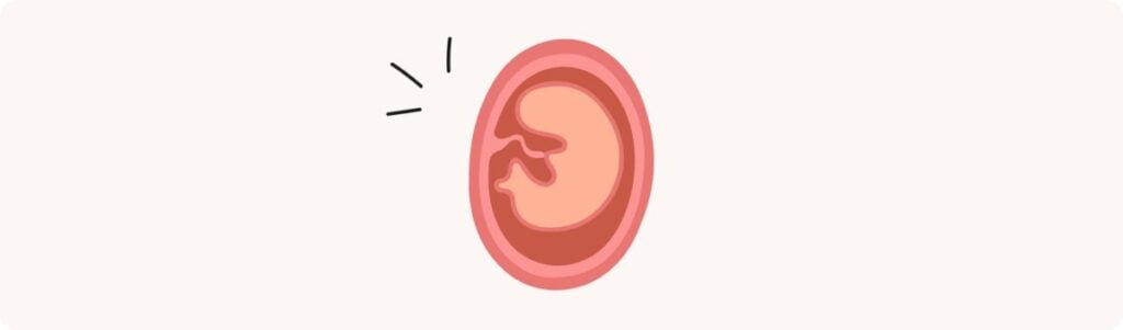 8 semaines de grossesse (10 SA) – Développement de bébé, taille, fœtus, embryon