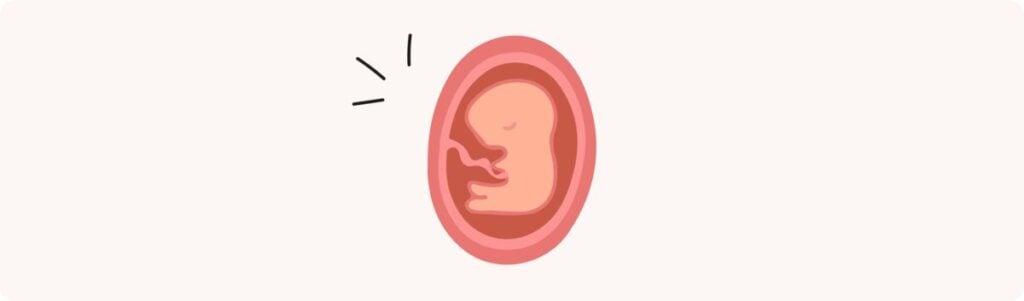 9 semaines de grossesse (11 SA) – Développement de bébé, taille, fœtus, embryon