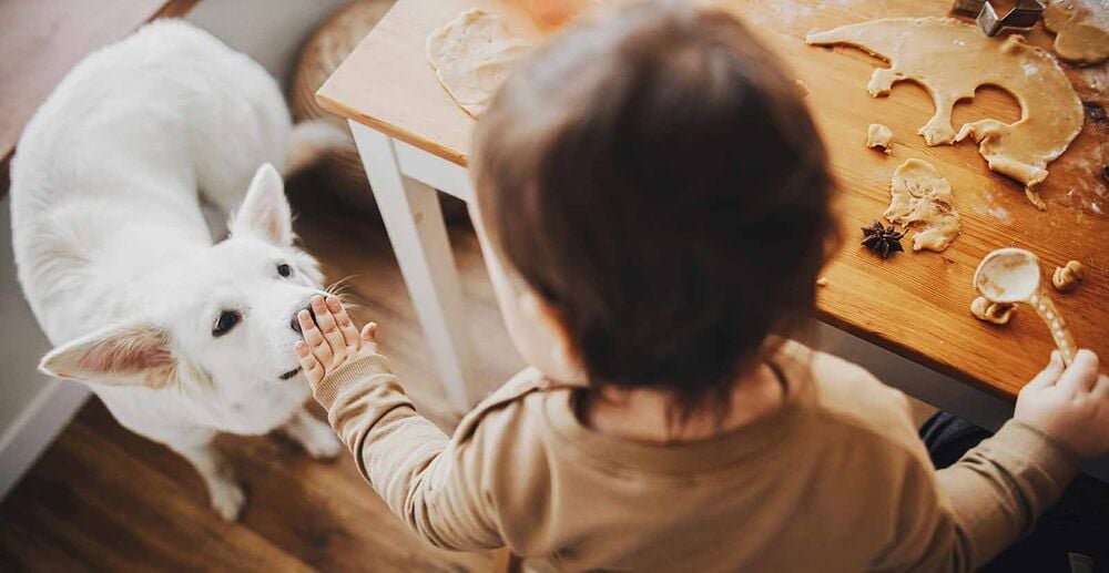Télétravail avec enfants sans garde : concilier activité professionnelle et présence des enfants