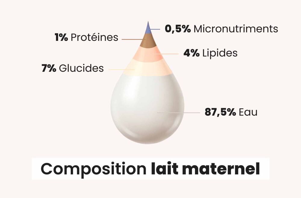 Composition du lait maternel : comprendre ses bénéfices nutritionnels pour le bébé