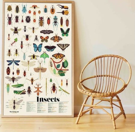 Poppik - Poster sticker Les Insectes