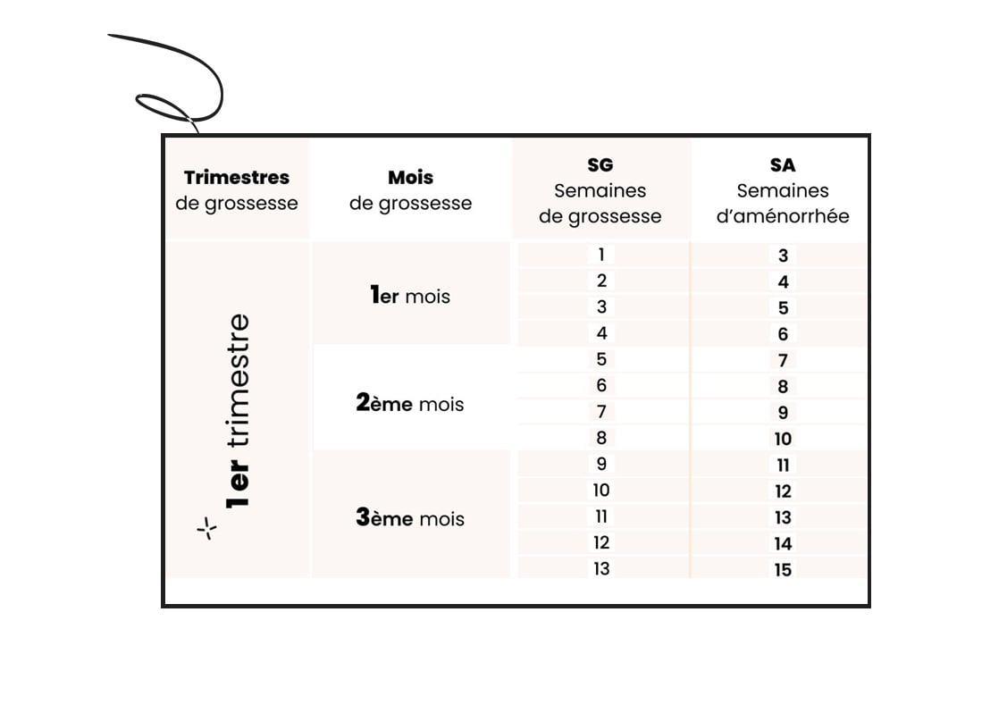 Semaine d’aménorrhée ou de grossesse calcul simple