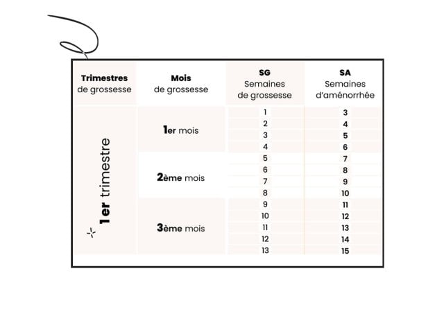 Semaine d’aménorrhée ou de grossesse : calcul simple
