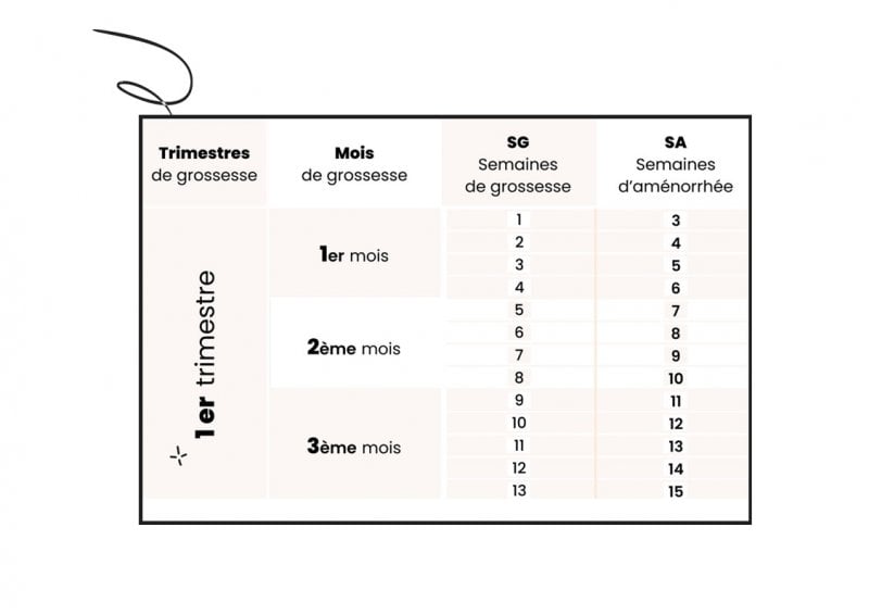 Tableau simple et parfait semaine aménorrhée et grossesse pour aider future maman enceinte premier trimestre