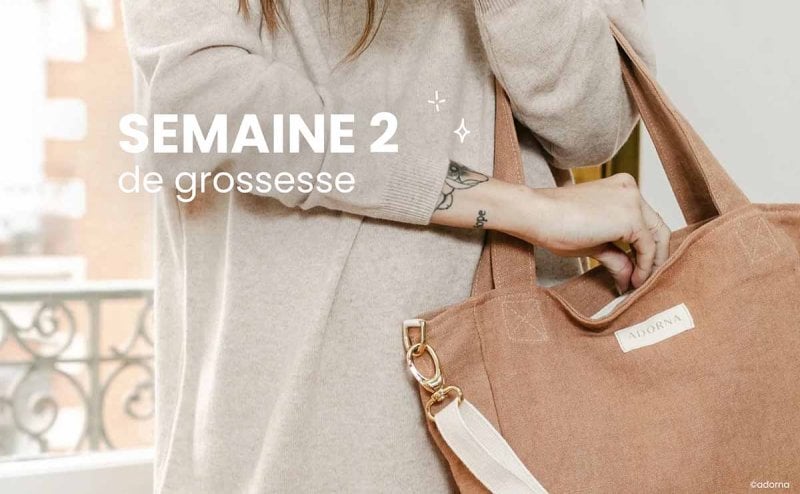 Enceinte, la semaine 2 de grossesse : 4 SA